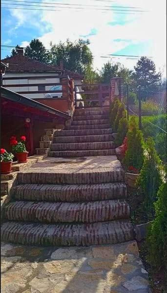 Apartmani Zapis เวิร์ดนิค ภายนอก รูปภาพ